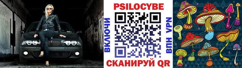 Галлюциногенные грибы MAGIC MUSHROOMS  купить наркоту  Керчь 