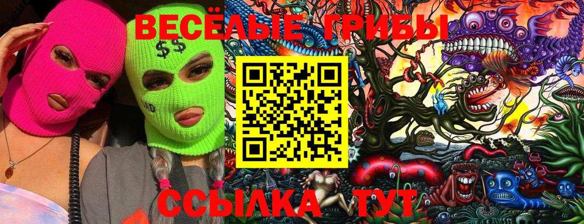 Псилоцибиновые грибы GOLDEN TEACHER  как найти   Керчь  Вход с VPN 