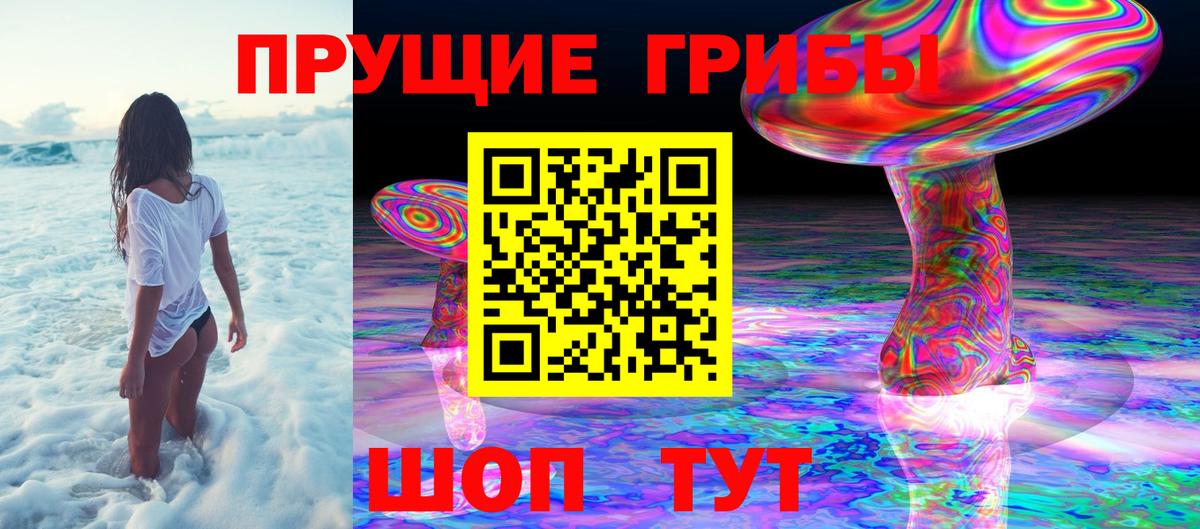 Галлюциногенные грибы Psilocybine cubensis Керчь